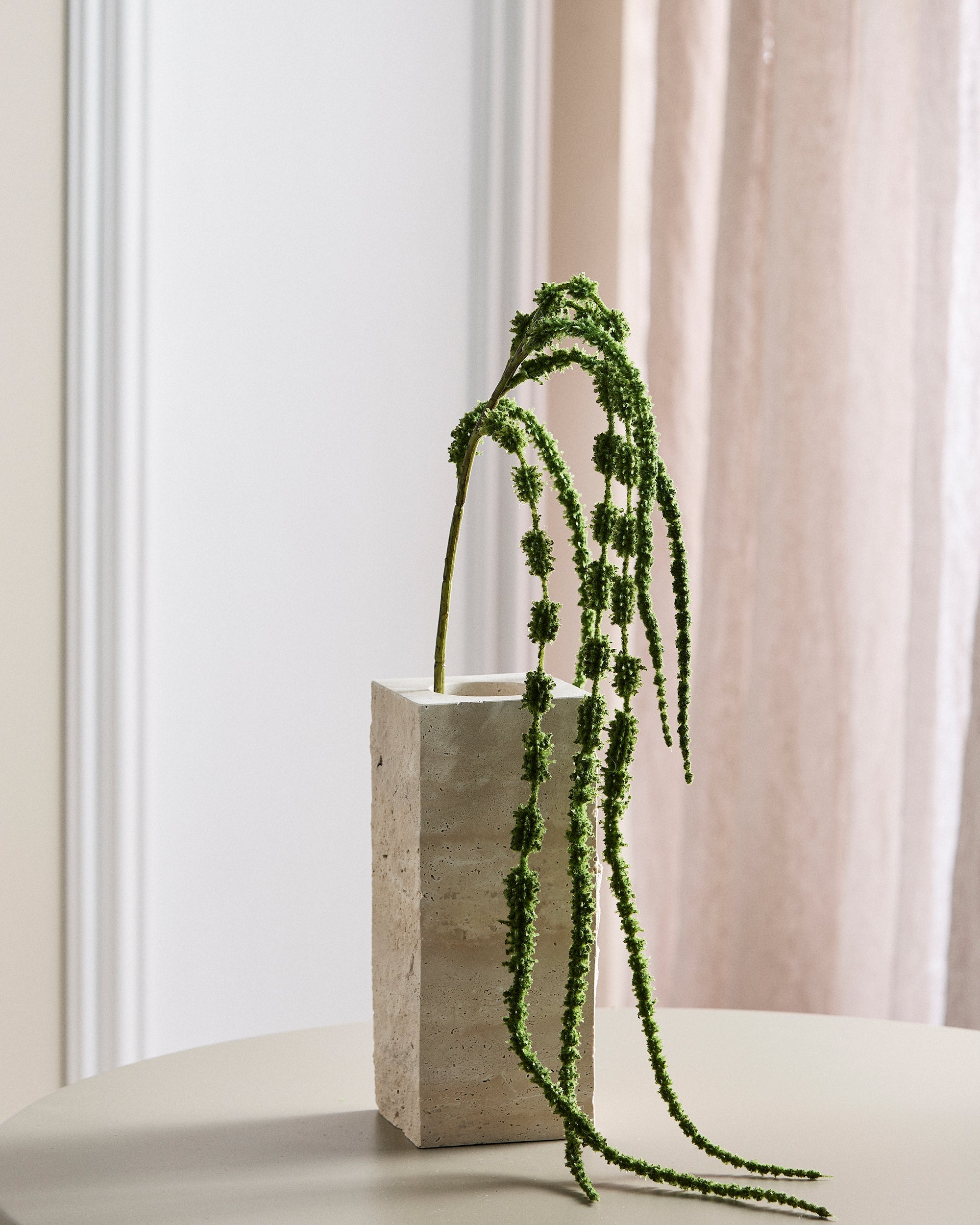 Amaranthus