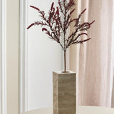 Vildgræs Salvie “Persicaria” – Bordeaux