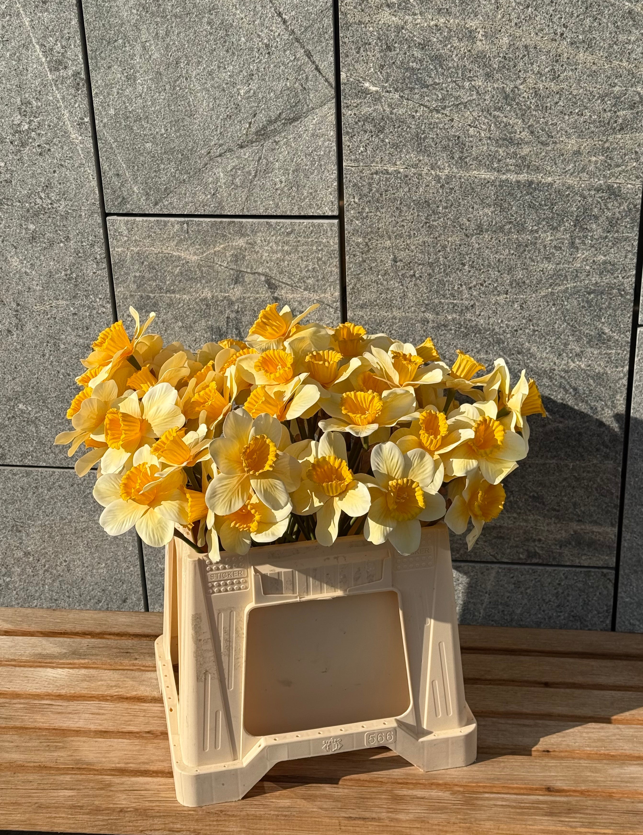 Påskelilje Blomst – billede 2