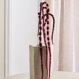 Amaranthus rævehale, 6 grene - Bordeaux