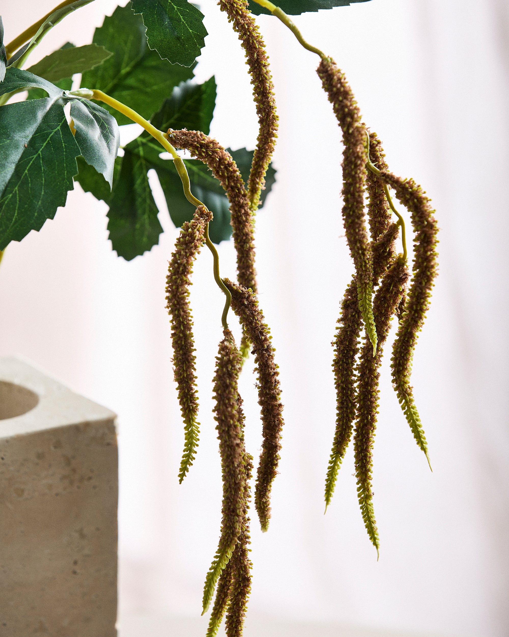 Løv Amaranthus med 2 grene - Kaffe