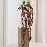Amaranthus Caudatus Blomst - Bordeaux