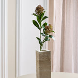 Skimmia Bærgren - Grøn/Bordeaux