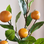 Orangegren – med mandariner – billede 2
