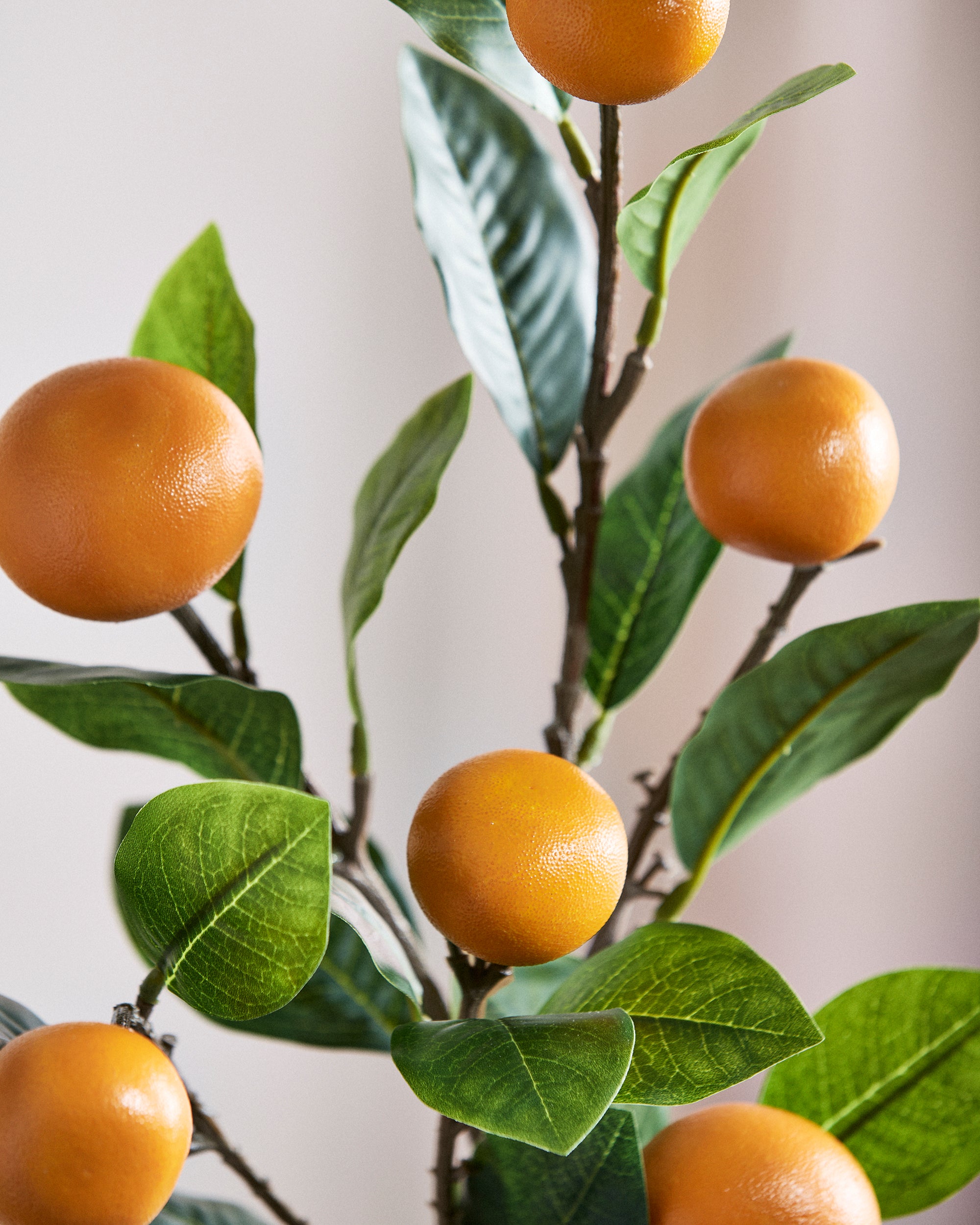 Orangegren – med mandariner – billede 2