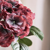 Stor Hortensia Blomst - Dyb Bordeaux – billede 2