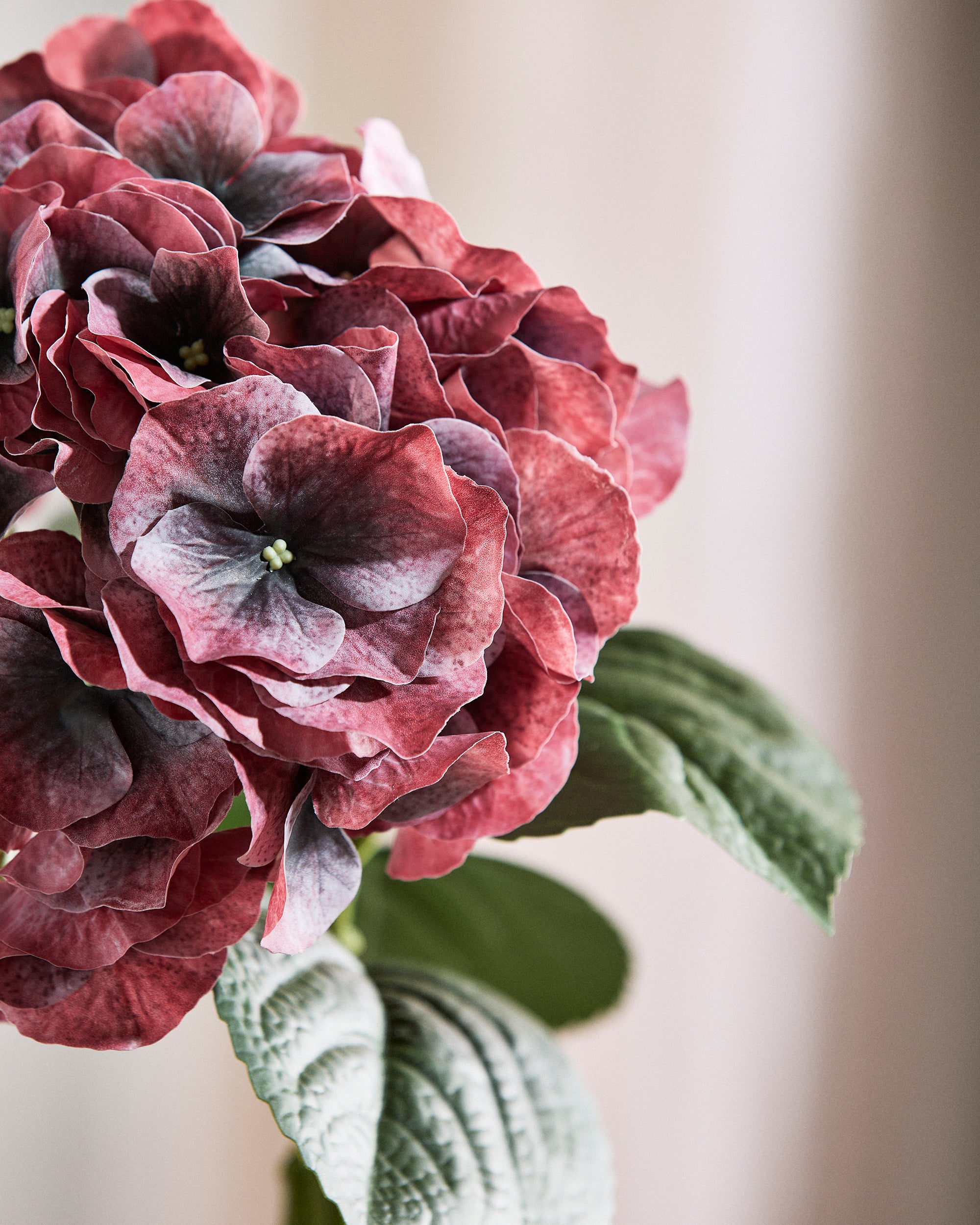 Stor Hortensia Blomst - Dyb Bordeaux – billede 2