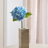 Hortensia Blomst - Blå