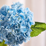 Hortensia Blomst - Blå