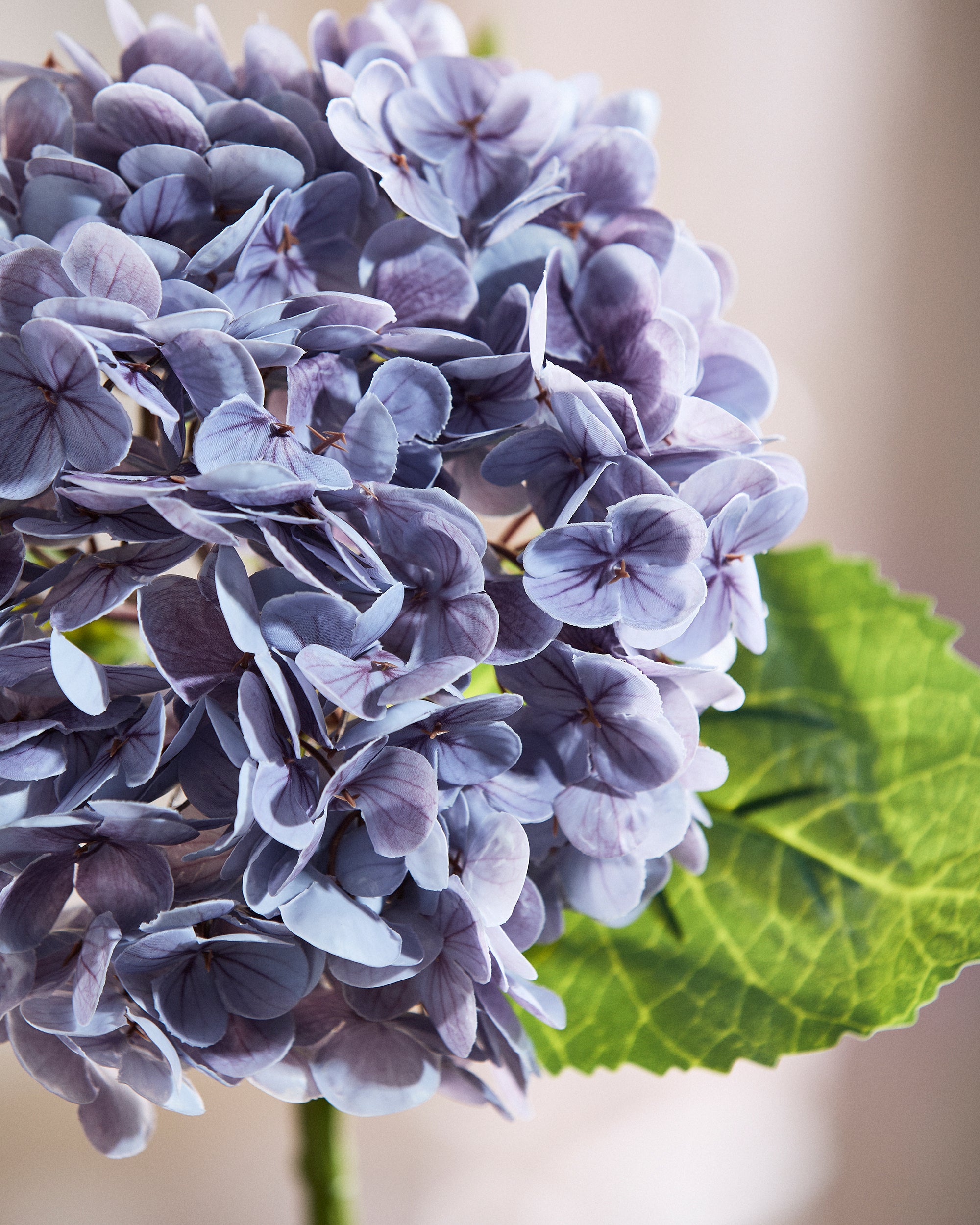 Fyldigt Hortensia Bundt - Lavendel – billede 2