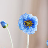 Valmue Blomst - Mørkeblå