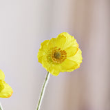 Valmue Blomst - Gul