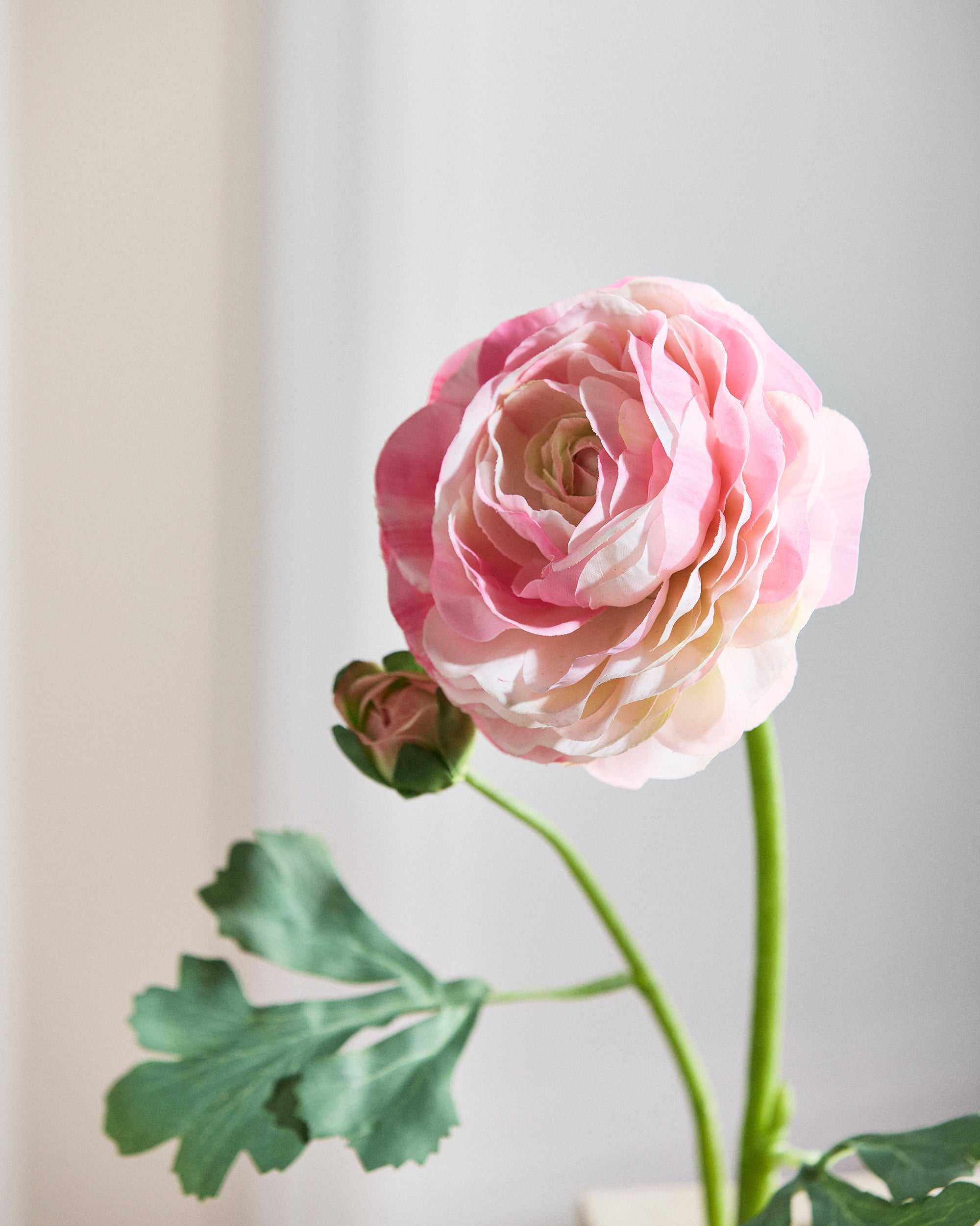 Luksus Ranunkel Blomst "Real Touch" - Lyserød