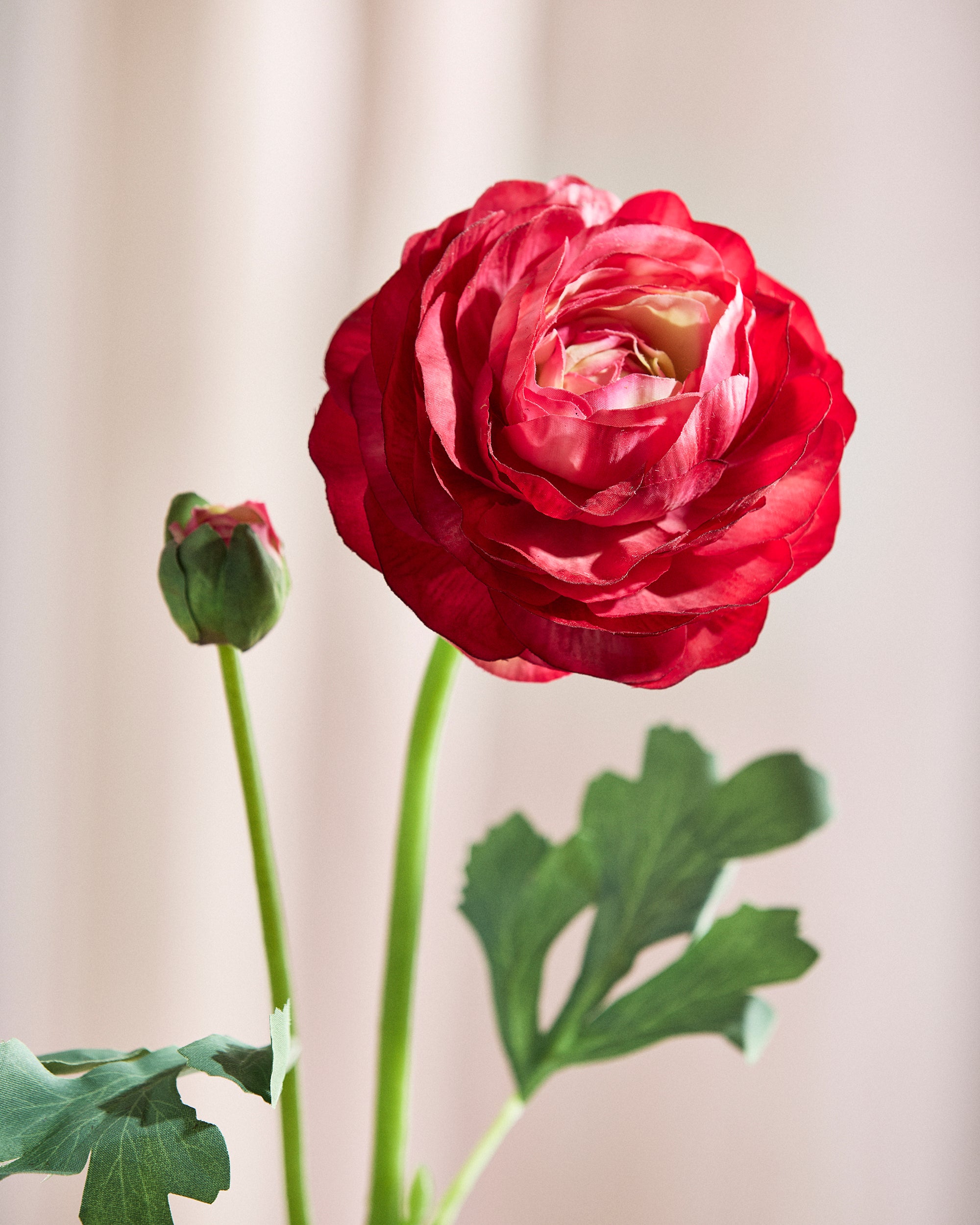 Luksus Ranunkel Blomst "Real Touch" - Rød