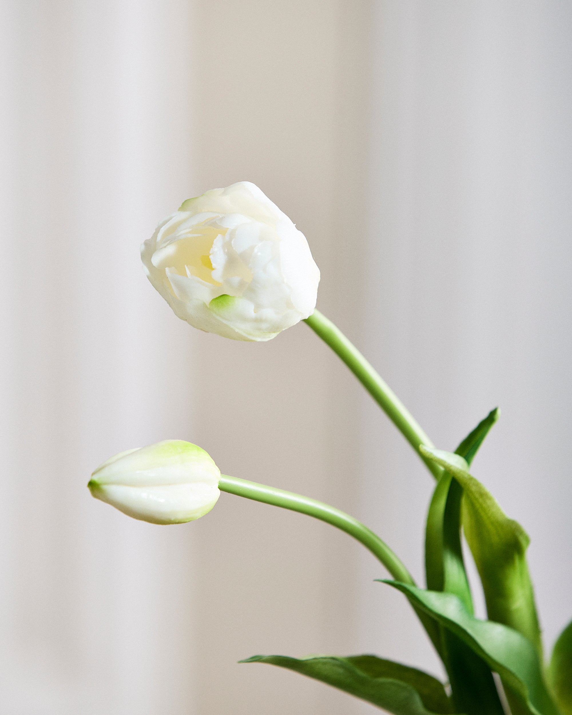 Luksus Tulipan Buket - Hvid