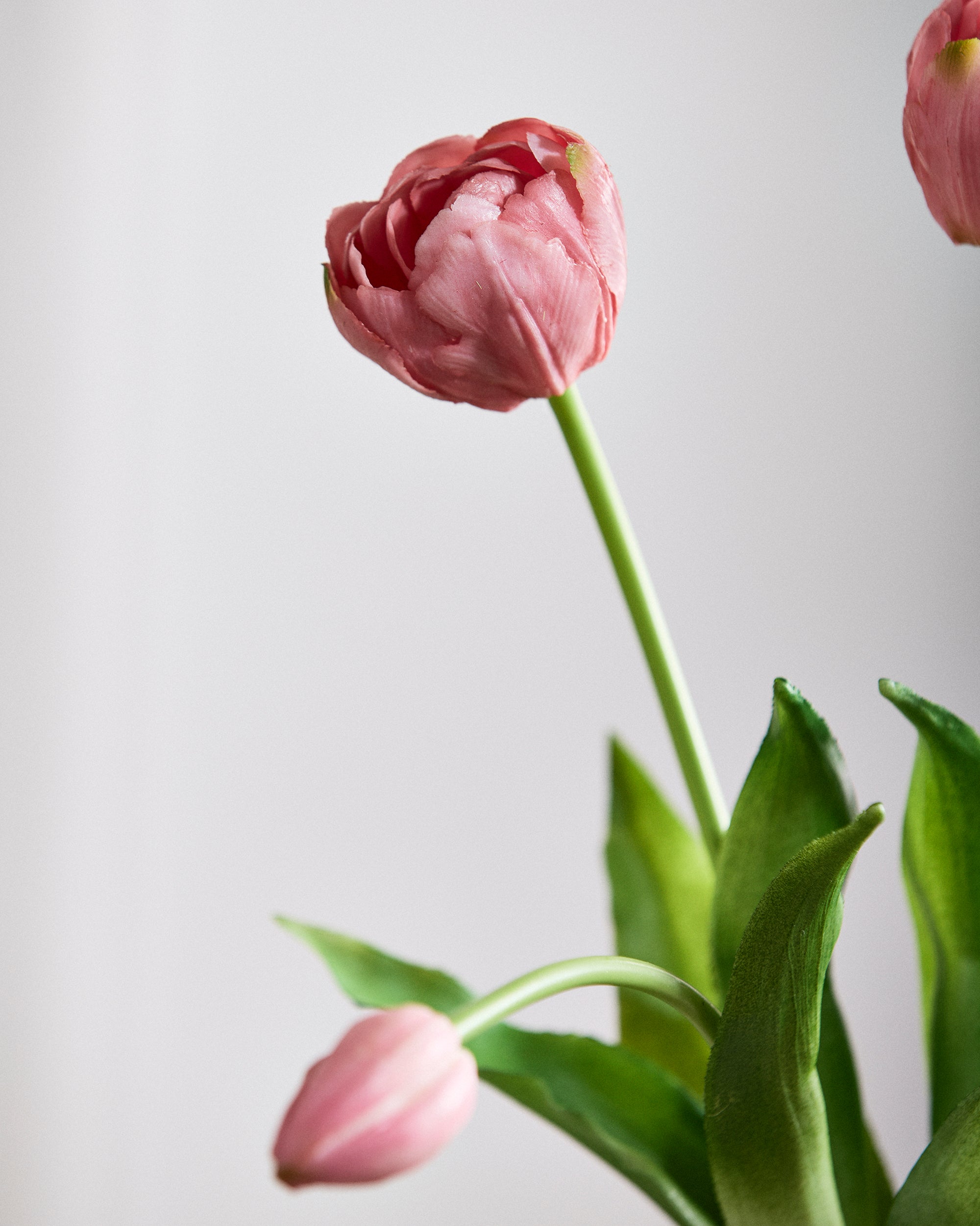 Luksus Tulipan Buket - Lys Lilla