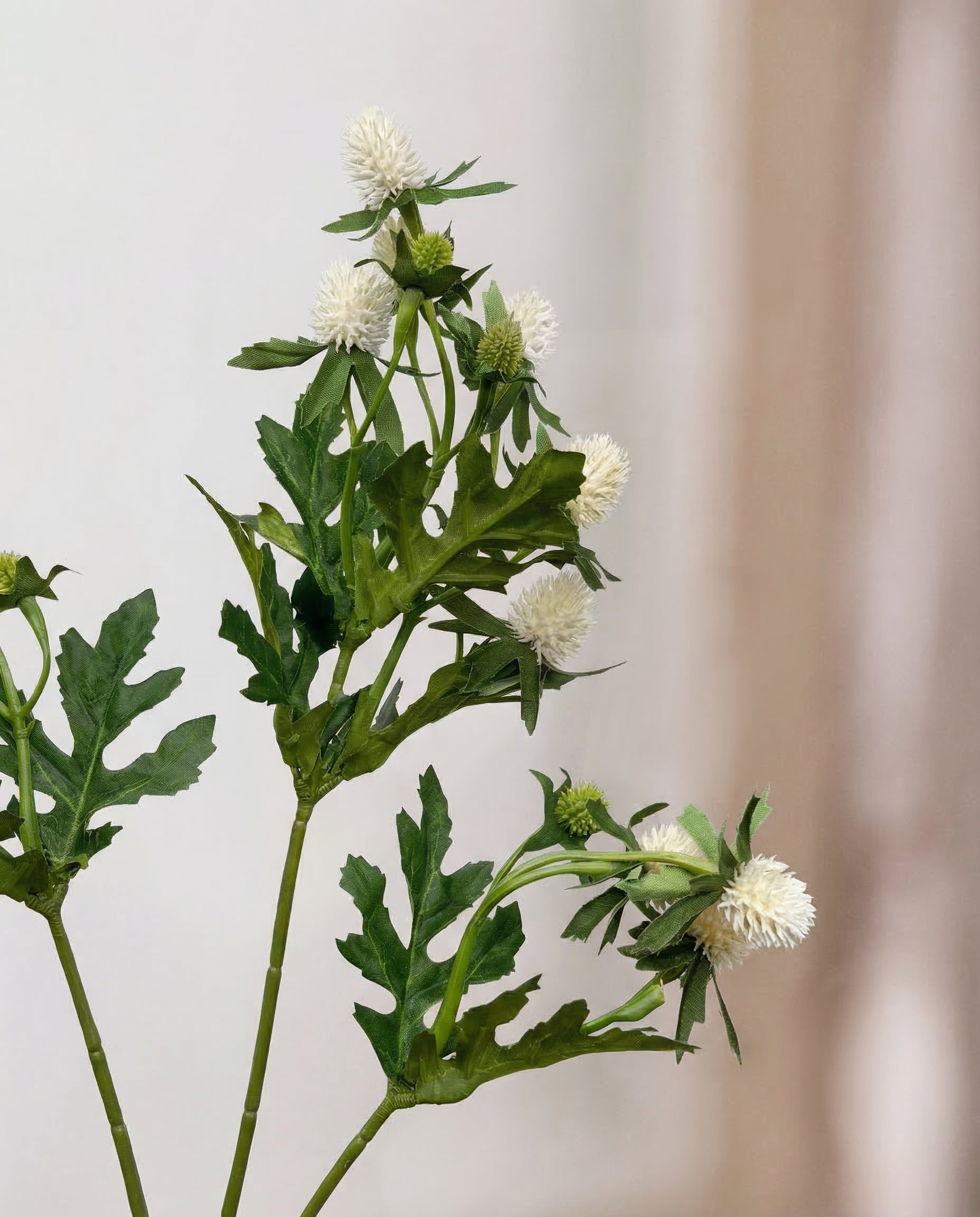 Tidsel Blomst - Hvid