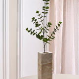 Fyldige Eucalyptus Blade – Grøn