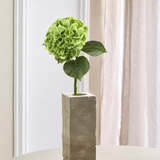 Luksus Hortensia - Grøn