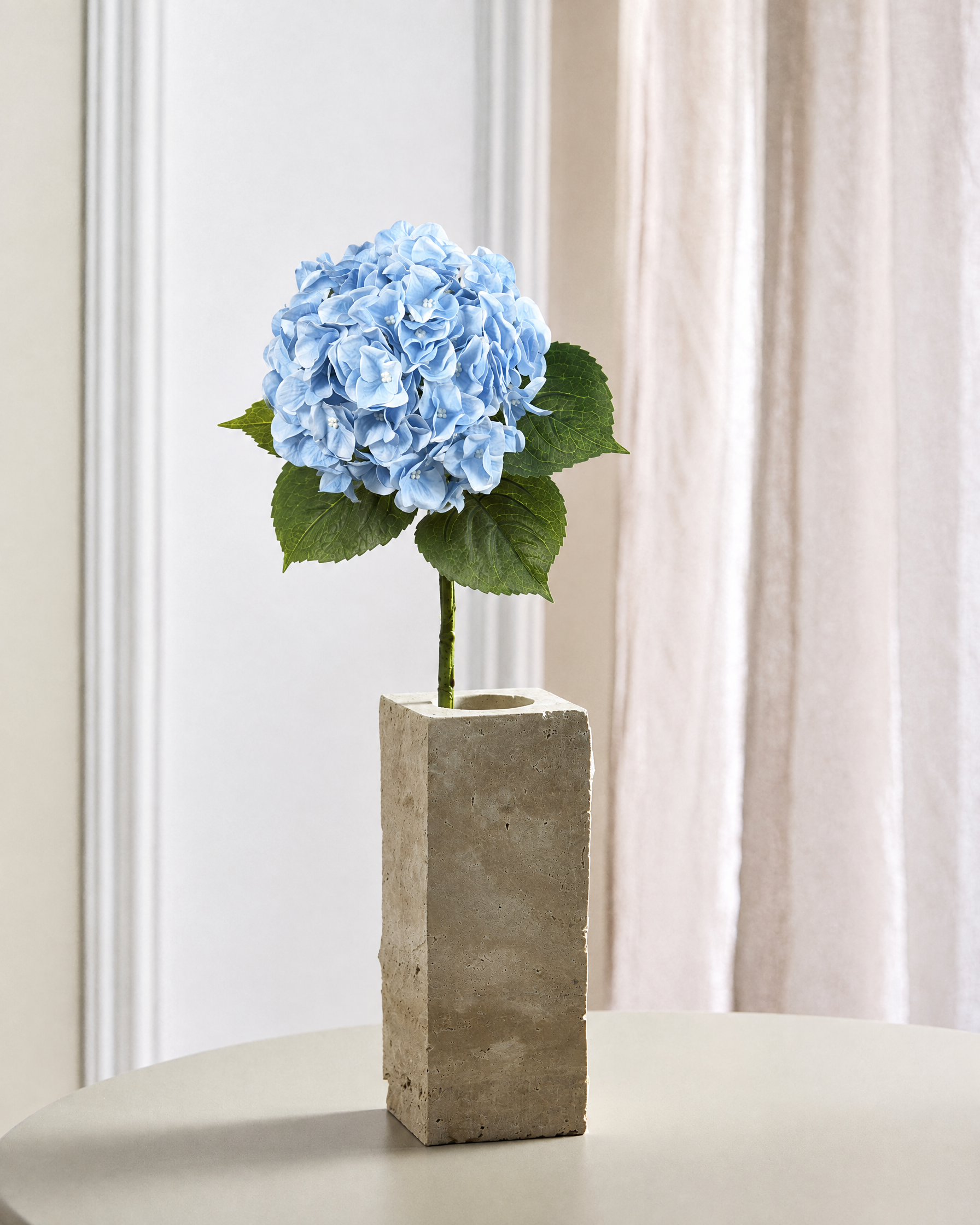 Luksus Hortensia - Lyseblå
