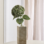 Luksus Hortensia - Mosgrøn