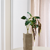 Løv Amaranthus med 2 grene - Bordeaux